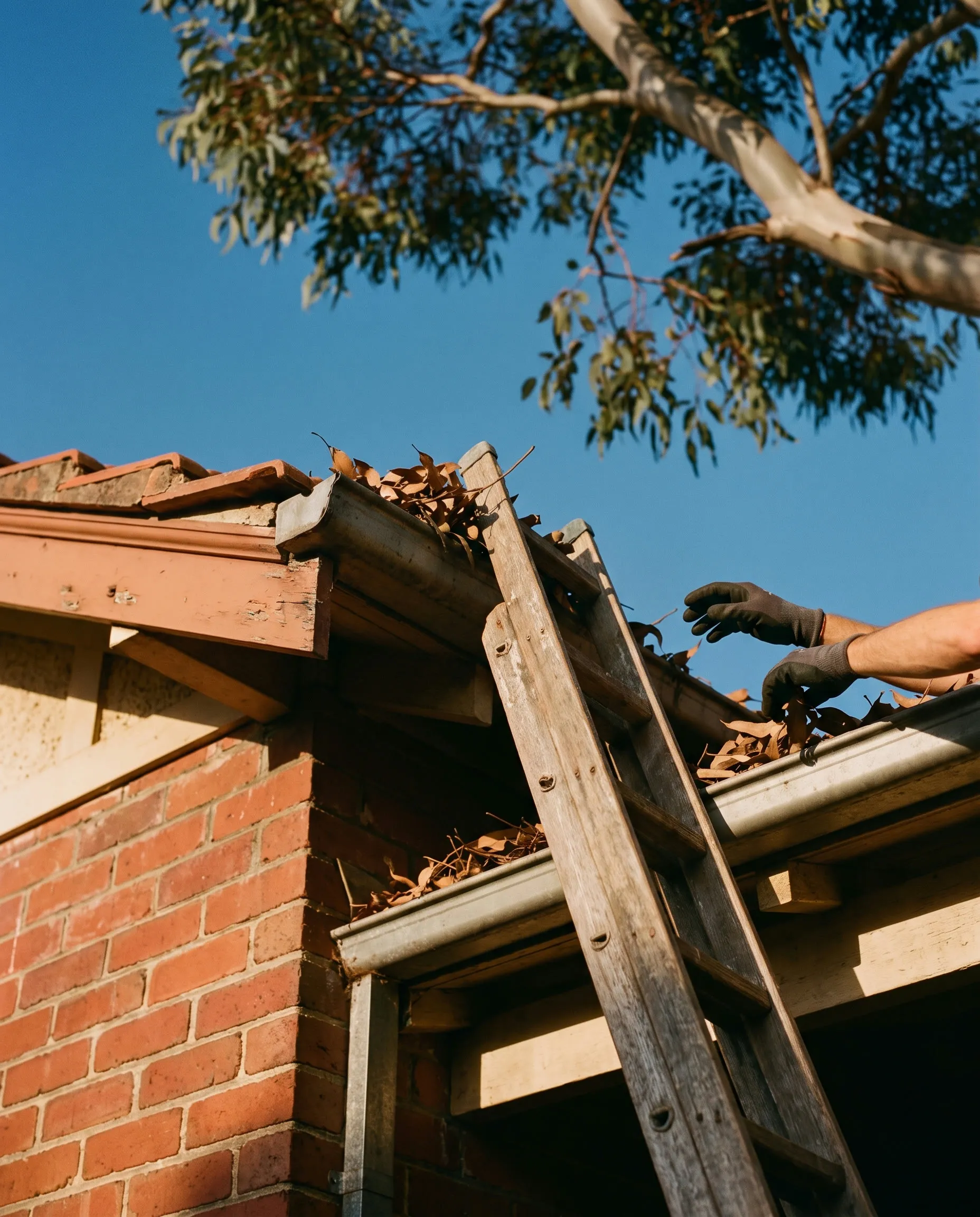 Property maintenance